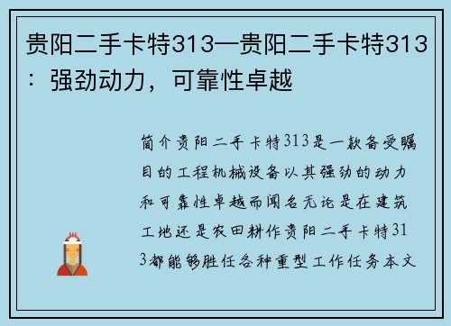贵阳二手卡特313—贵阳二手卡特313：强劲动力，可靠性卓越